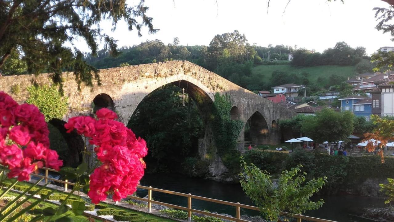 La Nueva Covadonguina Apartment Cangas de Onis Bagian luar foto